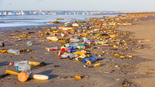 Plastfrit Hav 4 projekter om plastikforurening i Danmark [upl. by Rotce]