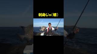 イシガキダイを釣った！ 石鯛釣り ワイヤー仕掛け fishingガルツ [upl. by Bruce6]