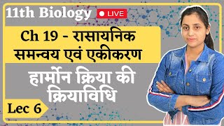 L6 हार्मोन क्रिया की क्रियाविधि Ch19 रासायनिक समन्वय एवं एकीकरण  11th Biology hindi medium [upl. by Hazard]