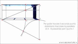 Sezione Aurea in acquario  come calcolarla [upl. by Assenab]