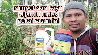 Tips membasmi kayu dan rumput dengan racun Centaquat [upl. by Eeliab875]