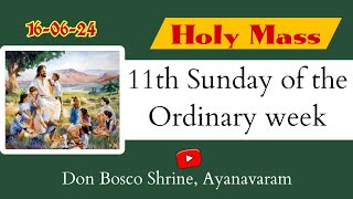 160624 Live 🔴 11th Ordinary Sunday Holy Mass Don Bosco Shrine Ayanavaram [upl. by Mitchael838]