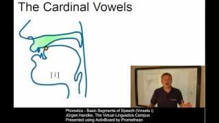 PHO107  Basic Segments of Speech Vowels I [upl. by Atiuqam423]