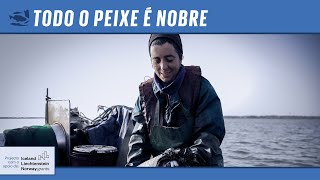 Todo o Peixe é Nobre Pelas águas do Sado a aprender como se apanha lingueirão [upl. by Terb646]