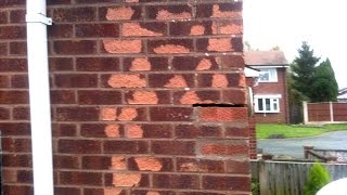 Bricklaying How to replace frost damaged bricks [upl. by Weidman]