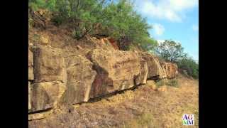 Permian Basin Fossil Record from Amazing Gem and Mineral Museum [upl. by Iver339]