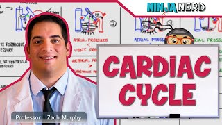 Cardiovascular  Cardiac Cycle [upl. by Hasseman]