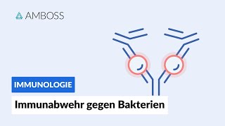 Immunabwehr gegen Bakterien  Immunologie  AMBOSS Video [upl. by Yehs]