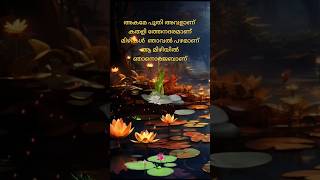 akame poothi avalan  ആ മിഴിയിൽ ഞാനൊരജബാണ് 💕   song malayalam  music sajeer koppam [upl. by Yemane]