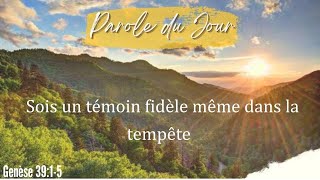 N°1055  Sois un témoin fidèle même dans la tempête  Genèse 3915  Méditation biblique [upl. by Catlaina]