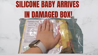 Silicone Reborn baby Arrived to me in a Really damaged box [upl. by Etnahc]