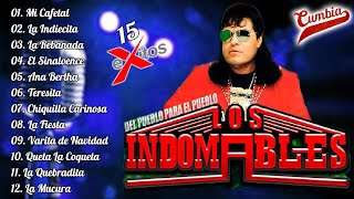 Los Indomables  15 Exitos  Cumbias y Mas Cumbias Pá Bailar [upl. by Utir239]