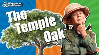 Celebrating 400 Years of The Temple Oak [upl. by Aiahc529]