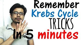 Krebs cycle trick made easy  Remember Krebs cycle in 5 minutes [upl. by Dayle761]