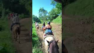 Puerto Rico 2024 Horseback Riding [upl. by Tamer]