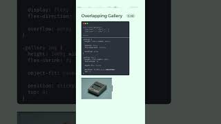 Overlapping Gallery in Css htmlcsswebsite webdevelopment webdesign coding shorts [upl. by Vickey]