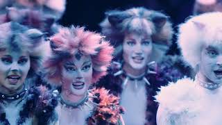 Cats Vienna 2019  Bombalurina Demeter and Cassandra [upl. by Idolah]