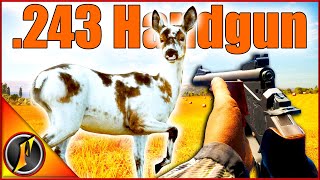 Hunting Cuatro Colinas with the 243 Handgun  theHunter Call of the Wild [upl. by Asyal895]