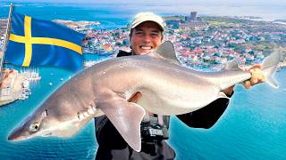 WE CATCH 100 SHARKS IN SWEDEN 🦈 🇸🇪 [upl. by Moneta]