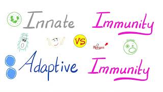 Innate Immunity vs Adaptive Immunity  Complement System  Physiology Lectures Series [upl. by Delgado]