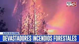 Incendios forestales arrasan con decenas de miles de hectáreas en California [upl. by Russian]