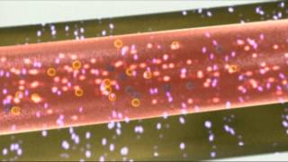 Faszination Laser Teil 2  Wie funktioniert ein Laser [upl. by Ecirehc56]