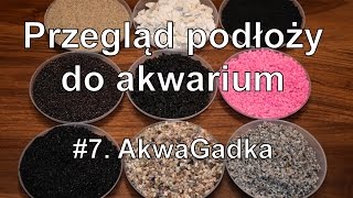 Różowy żwirek czy ziemia ogrodowa Jakie podłoże do akwarium 7 AkwaGadka [upl. by Adamina]