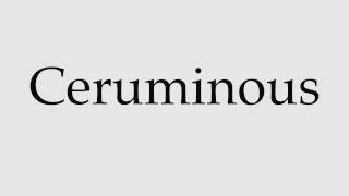 How to Pronounce Ceruminous [upl. by Nelram604]