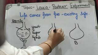 Louis Pasteur Experiment evolution  Origin Of Life12 class [upl. by Naihtsirc]