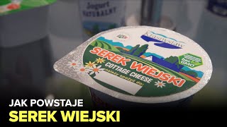 Jak powstaje serek wiejski i jogurt  Fabryki w Polsce [upl. by Nayarb]