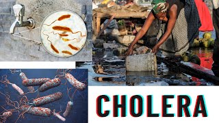 vibrio cholera  causes symptoms prevention diagnosis [upl. by Nahk]