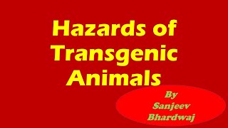 Hazards of Transgenic Animals [upl. by Airdnekal]