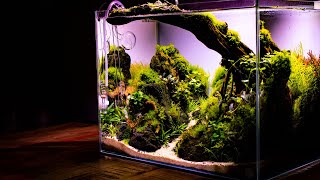 HOW TO Make an Aquascape Nano Aquascape Tutorial  Step by Step GUIDE Building a CONTEST Aquascape [upl. by Aggy323]