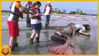 10 Sereias Capturadas Por Câmeras Na Vida Real [upl. by Brest]