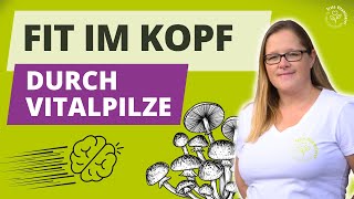 FIT IM KOPF 🚀 mit den Vitalpilzen Hericium Cordyceps und Chaga [upl. by Rainie]