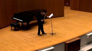 2016 Aspen Violin Fellowship Audition [upl. by Enyar]