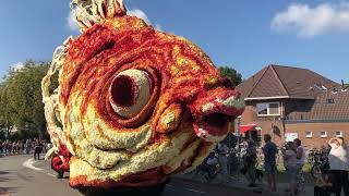 Bloemencorso Lichtenvoorde 2022  Corsogroep Hooiland  Goudvis  1e Prijs [upl. by Annelak]