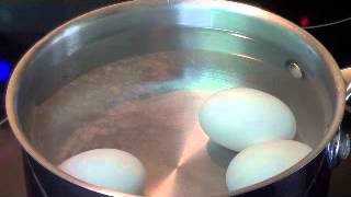 Boiled eggs How to to properly boil an egg [upl. by Enovi]