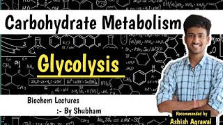 Glycolysis  Carbohydrate Metabolism  Biochemistry Lectures [upl. by Karlene]