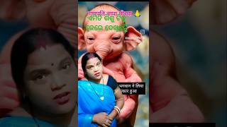 ଏମିତି ଶିଶୁ ଟିକୁ କେଭେ ଦେଖିଛନ୍ତିshorts trending shorts viral shorts odia motivational Alpa [upl. by Enylhsa]