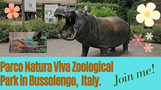 Journey Through the Zoological Park in Bussolengo Verona Italy zoologicalpark italy animals [upl. by Gupta945]