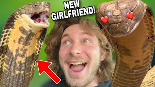 Kevin the KING COBRA gets a Girlfriend [upl. by Quackenbush]