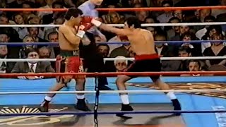 WOW WHAT A FIGHT  Oscar De La Hoya vs Luis Ramon Campas Full HD Highlights [upl. by Eslehc]