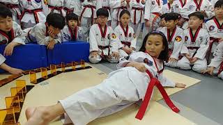 TATOOL taekwondo 도전quot도미노셋트20개quot연세정훈태권도 domino 20 set challenge [upl. by Nnylarac448]