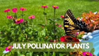 Best Pollinator Plants [upl. by Greff]