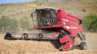 LAVERDA AL QUATTRO TECHNO Az Agricola F lli Gucciardo  Calatafimi Segesta  Raccolta grano 2024 [upl. by Herring]