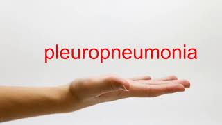 How to Pronounce pleuropneumonia  American English [upl. by Kunin]