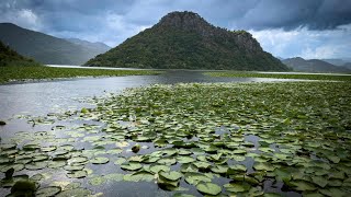 Boat trip on lake Skadar Montenegro [upl. by Dlawso]