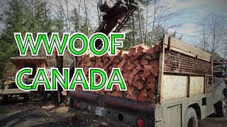 WWOOFING in Canada  WWOOF on Quadra island [upl. by Nylahs622]