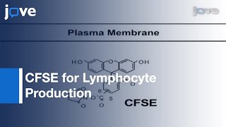 Using CFSE to Monitor Lymphocyte Proliferation [upl. by Mollie]